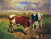 unknow artist Young bulls at a watering place Spain oil painting artist